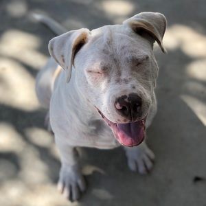 Meet your Posher, Danny